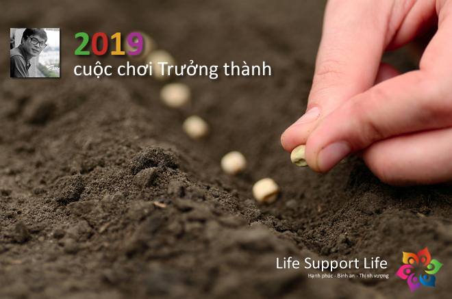 Life-Support-Life-2019-Y-NGUYEN-DAU-NAM-32